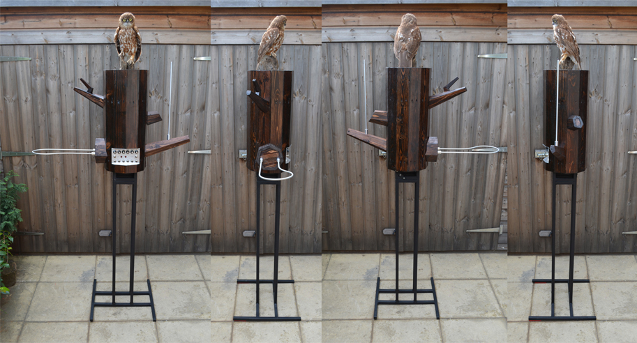 Owl Theremin